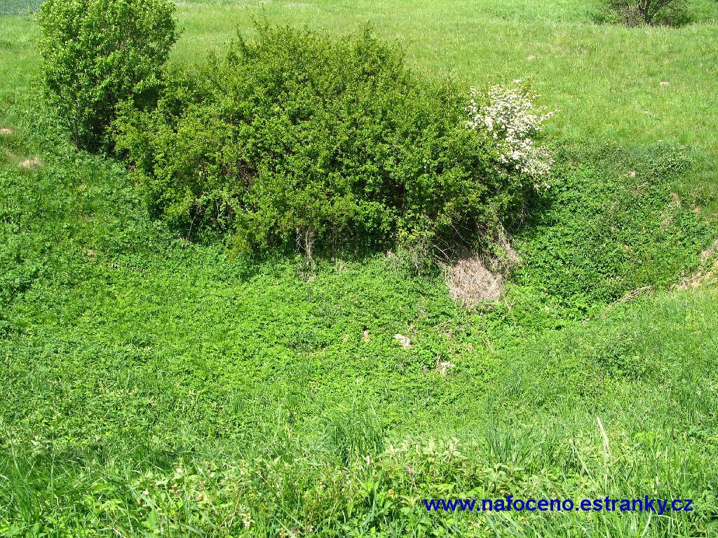 014_Balcarka_2012-05-18