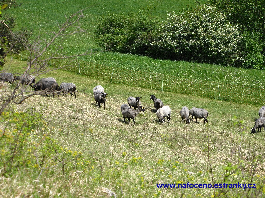 017_Balcarka_2012-05-18